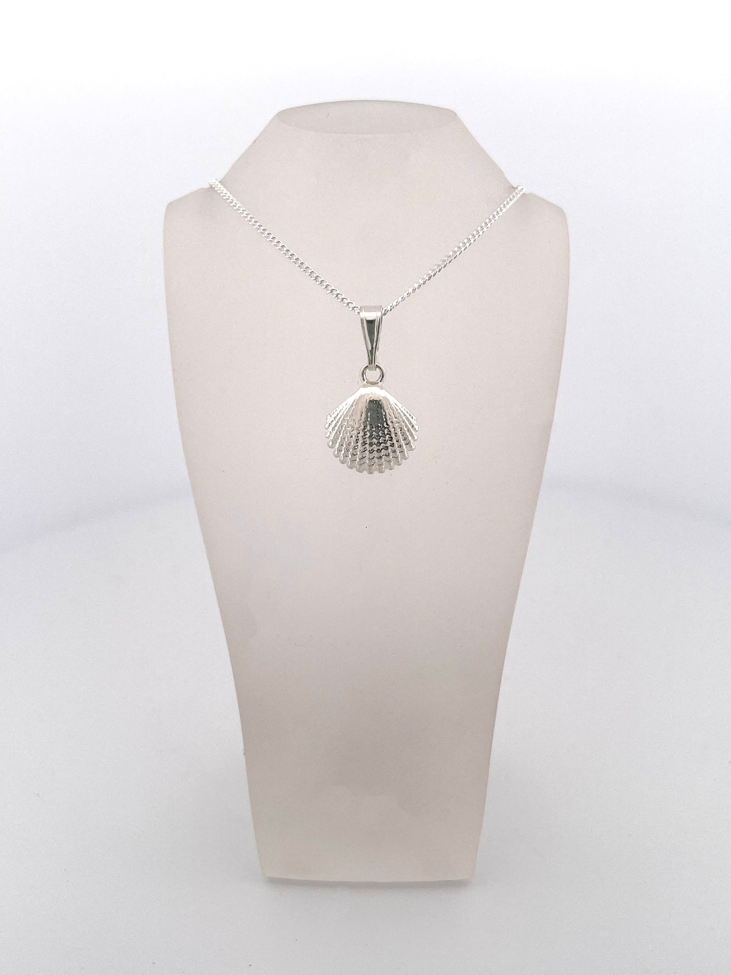 Scallop Shell Necklace