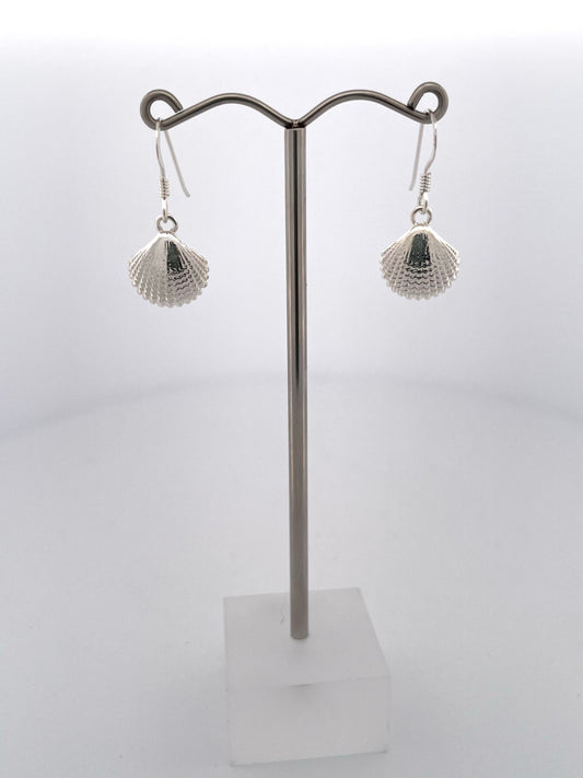 Scallop Shell Earrings